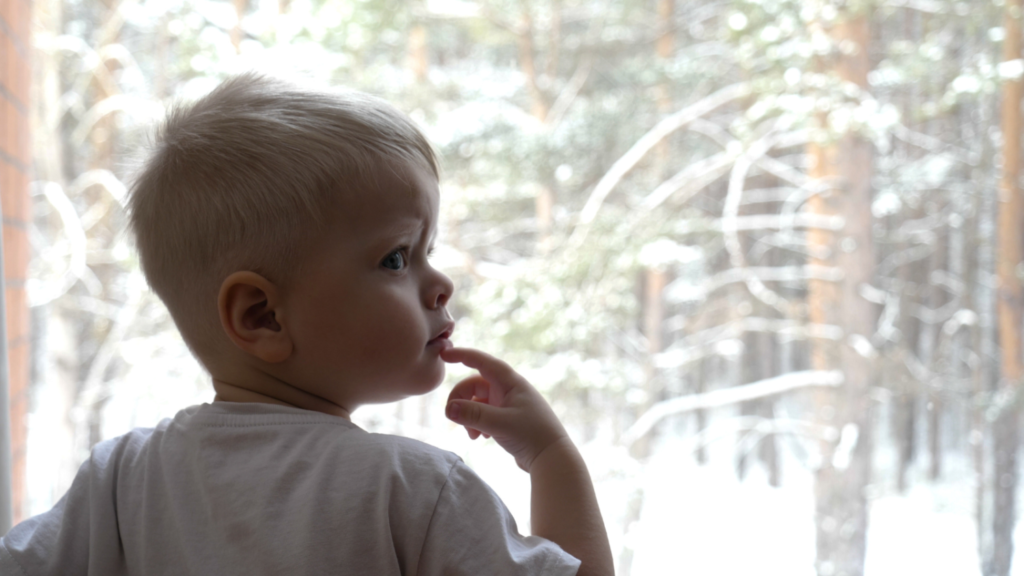 A boy looking out of the window
