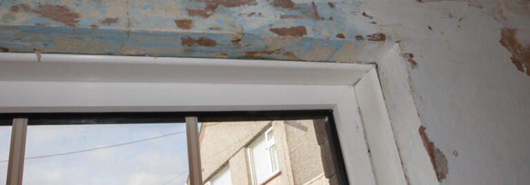 Mouldy window