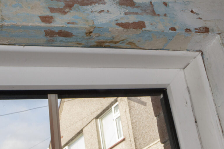 Mouldy window