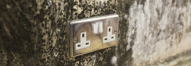 Mouldy plug socket