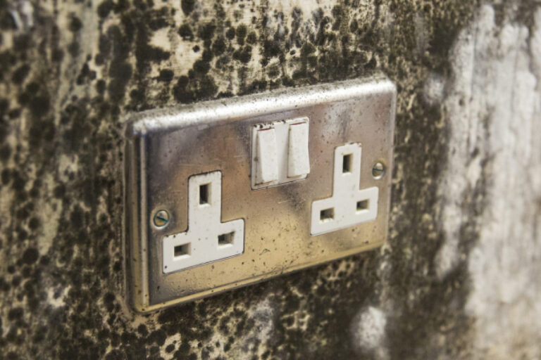 Mouldy plug socket