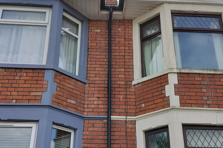 House windows