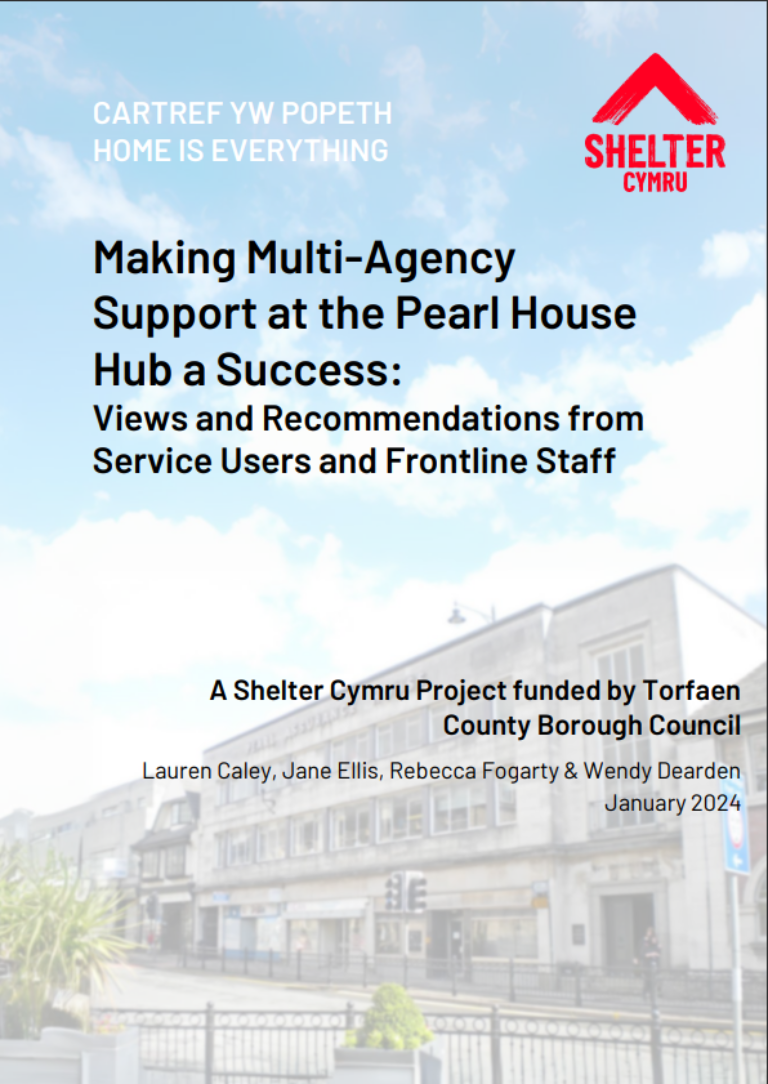 Torfaen report cover